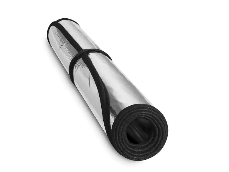 Weathertech 09-11 Dodge Pickup Large Techshade 2