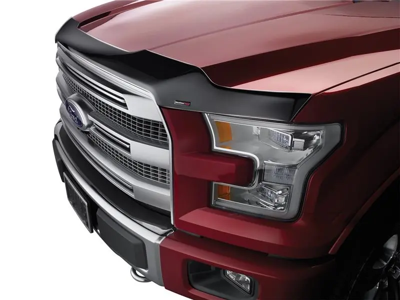 Weathertech 2009+ Dodge Ram Hood Protector - Black 1