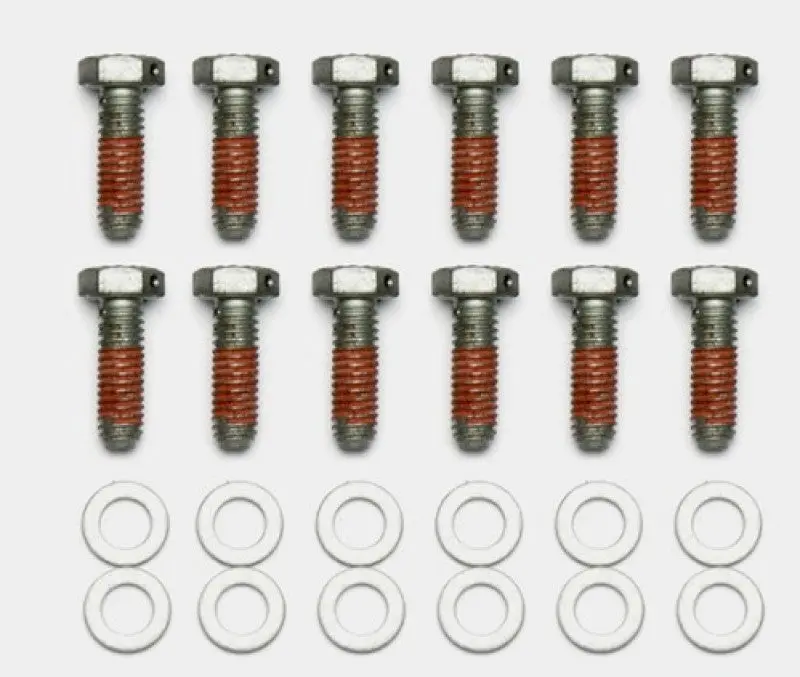 Wilwood Bolt Kit - 5/16-18 X 1.00 Lg - 12 Pk 1