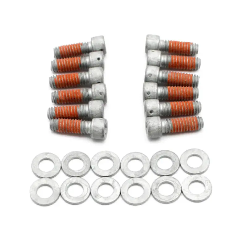 Wilwood Drilled Rotor Bolt Kit 1/4-20X.75 Lg 1