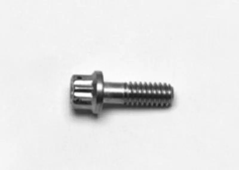 Wilwood Stainless Steel Rotor Bolt - 12Pt 1/4-20 X .75 L 1