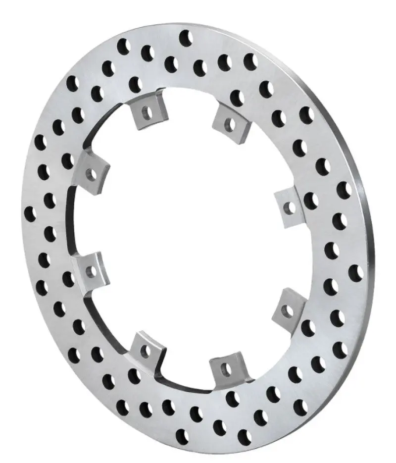 Wilwood Super Alloy Drilled Rotor - 8X7.00In 1