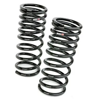 Rs-R Down Sus Lowering Springs For 2009–2014 Nissan Maxima 1